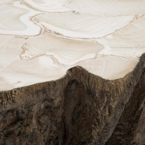 Home Fashion Chloe Fossilized Clam Lava Coffee Table