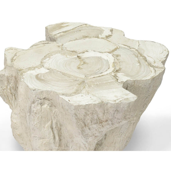 Home Fashion Camilla Fossilized Clam Side Table