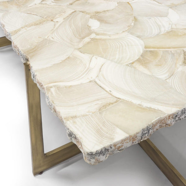 Home Fashion Durham Fossilized Clam Coffee Table