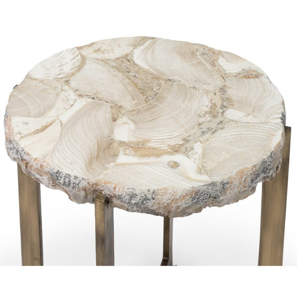 Home Fashion Durham Fossilized Clam Side Table